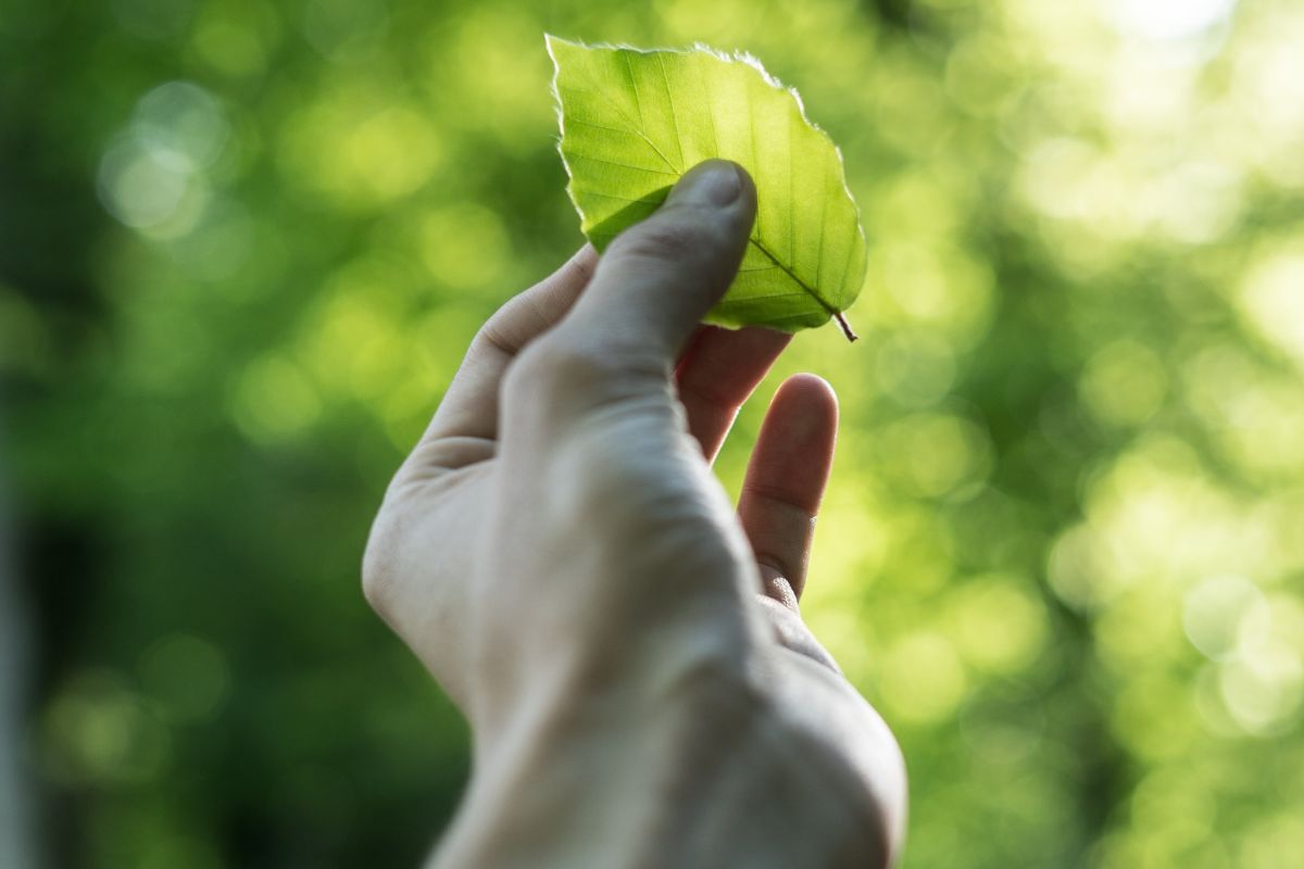 O papel da contabilidade na sustentabilidade empresarial